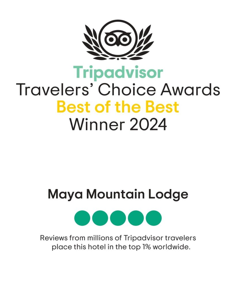 Tripadvisor Best of the Best 2024